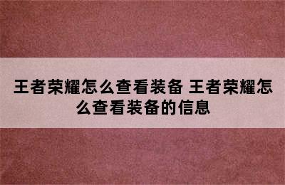 王者荣耀怎么查看装备 王者荣耀怎么查看装备的信息